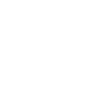 waise. Equipo de expertos en tecnología para empresas - Tyris Tech